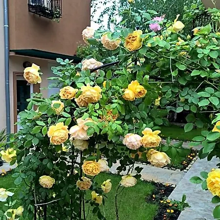 Complex Brigantina ساني بيتش
